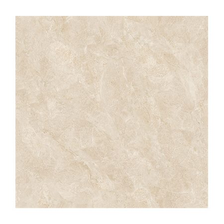 Gạch ốp lát Catalan 100x100 10080