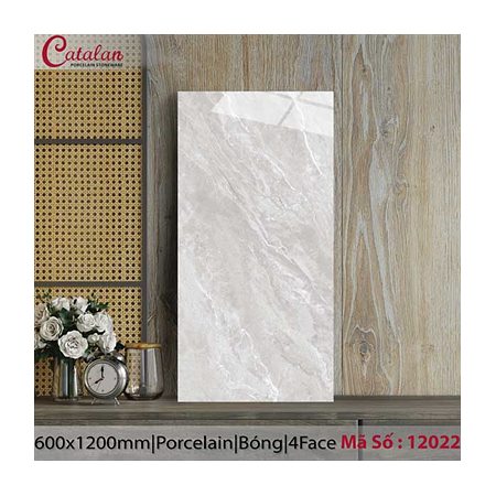 Gạch ốp lát Catalan 60x120 12022
