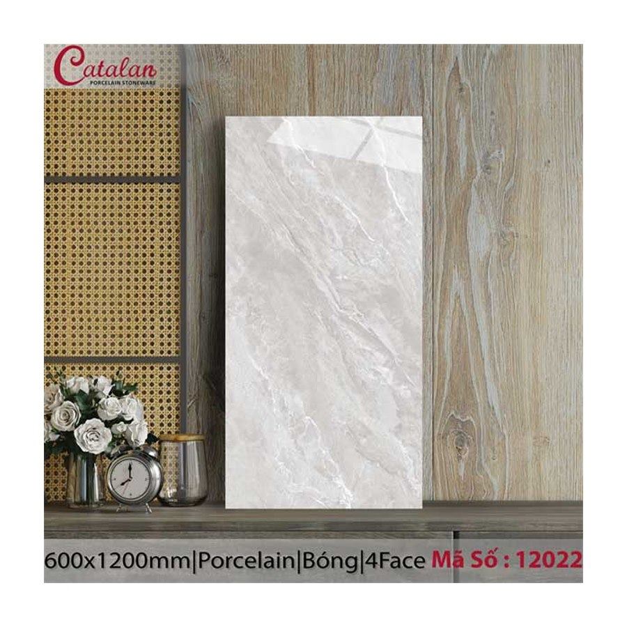 Gạch ốp lát Catalan 60x120 12022