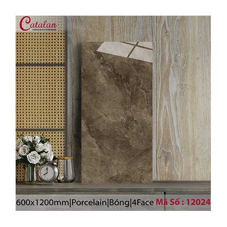 Gạch ốp lát Catalan 60x120 12024