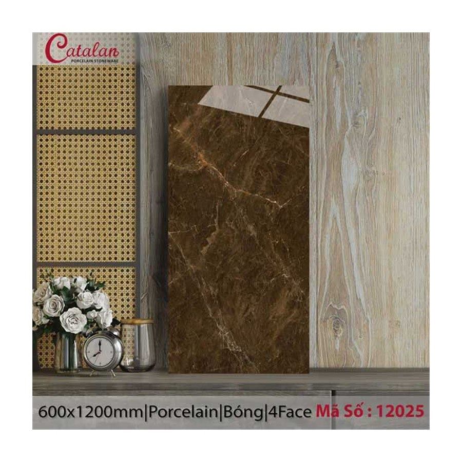 Gạch ốp lát Catalan 60x120 12025