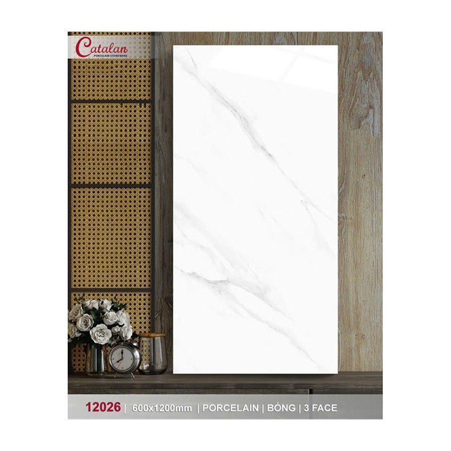 Gạch ốp lát Catalan 60x120 12026