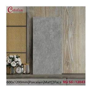 Gạch ốp lát Catalan 60x120 12043