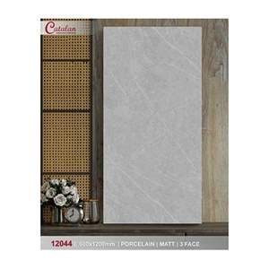 Gạch ốp lát Catalan 60x120 12044