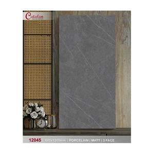 Gạch ốp lát Catalan 60x120 12045