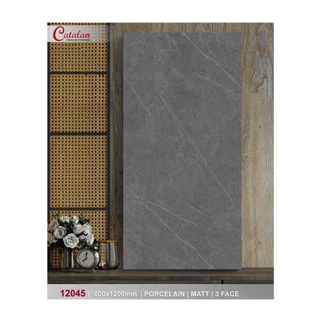 Gạch ốp lát Catalan 60x120 12045