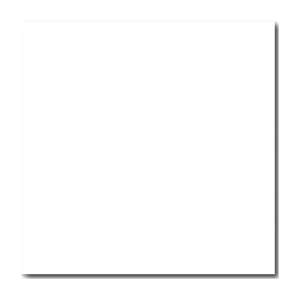 Gạch ốp lát Catalan 80x80 80030