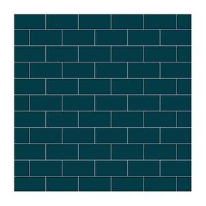 Gạch ốp lát Đồng Tâm 10x20 1020COLOUR019 ceramic gốm trang trí