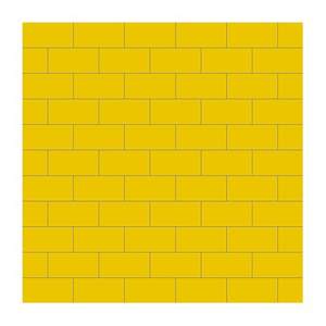 Gạch ốp lát Đồng Tâm 10x20 1020COLOUR006