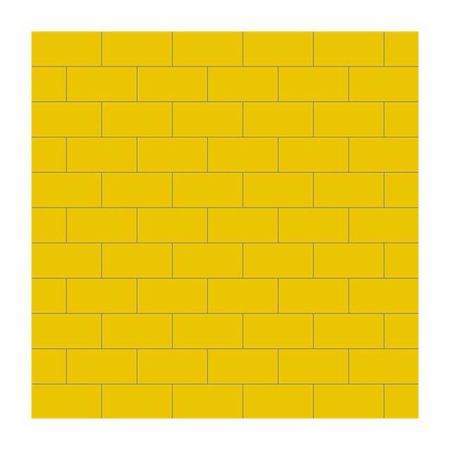 Gạch ốp lát Đồng Tâm 10x20 1020COLOUR006