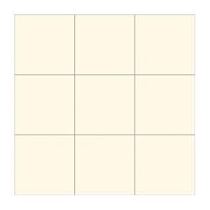 Gạch ốp lát Đồng Tâm 30x30 3030GECKO003