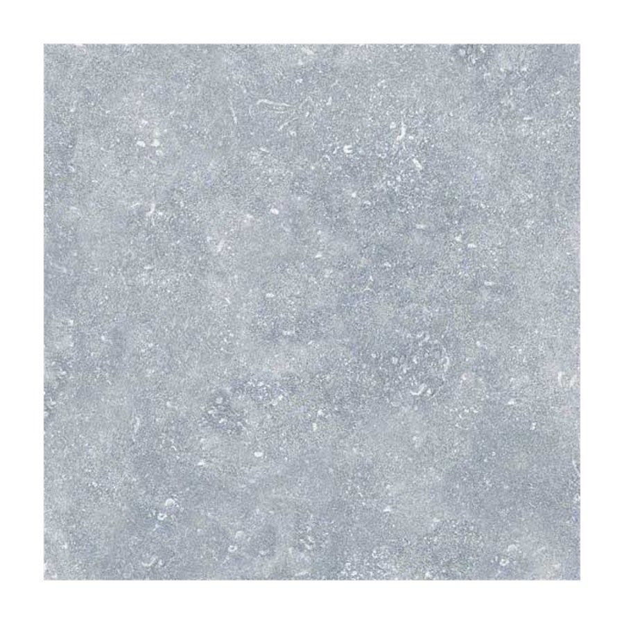 Gạch ốp lát Đồng Tâm 30x30 3030GECKO006