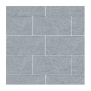 Gạch ốp lát Đồng Tâm 30x60 3060GECKO008