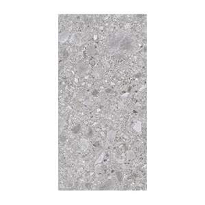 Gạch ốp lát Đồng Tâm 30x60 3060NAPOLI004-H+