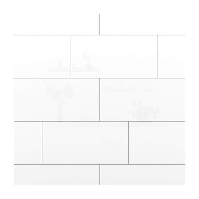 Gạch ốp lát Đồng Tâm 30x60 3060SNOW001