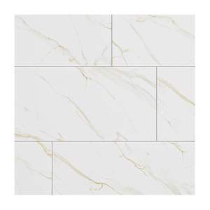 Gạch ốp lát Đồng Tâm 60x120 60120NILE001-H+