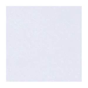 Gạch ốp lát Đồng Tâm 60x60 6060BRIGHT001-FP