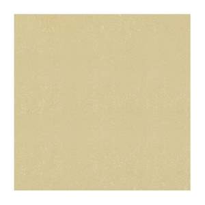 Gạch ốp lát Đồng Tâm 80x80 8080DB006