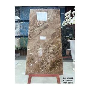 Gạch ốp lát Grand Ceramics 60x120 C61MS904