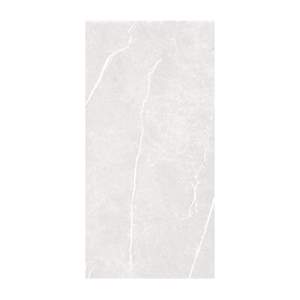 Gạch ốp lát Grand Ceramics 60x120 C61NS805