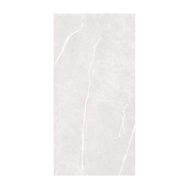 Gạch ốp lát Grand Ceramics 60x120 C61NS805