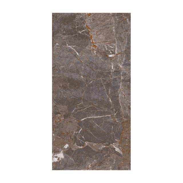 Gạch ốp lát Grand Ceramics 60x120 C61SS906