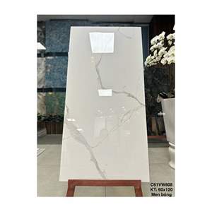 Gạch ốp lát Grand Ceramics 60x120 C61VW808