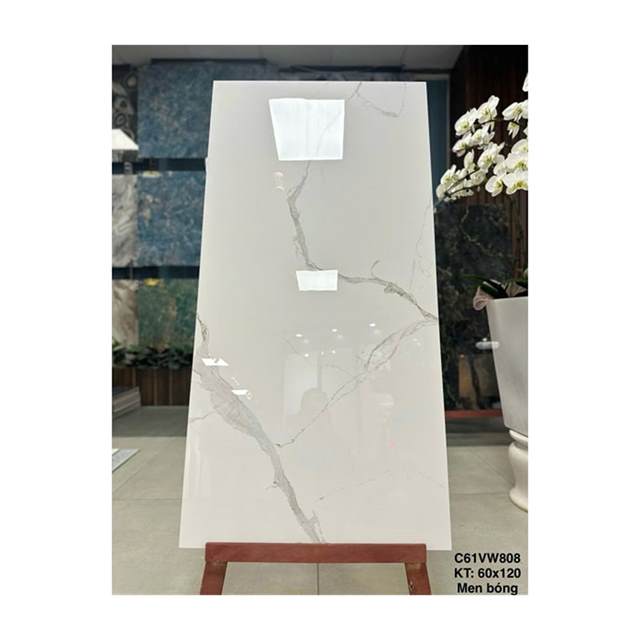 Gạch ốp lát Grand Ceramics 60x120 C61VW808