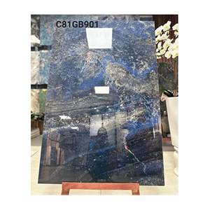 Gạch ốp lát Grand Ceramics 80x120 C81GB901