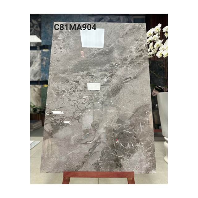 Gạch ốp lát Grand Ceramics 80x120 C81MA904