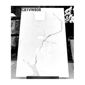 Gạch ốp lát Grand Ceramics 80x120 C81VW808