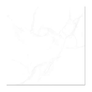 Gạch ốp lát Mikado MP8804 80x80 cm
