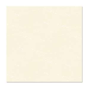 Gạch ốp lát Mikado Videcor VG6010 60×60 cm