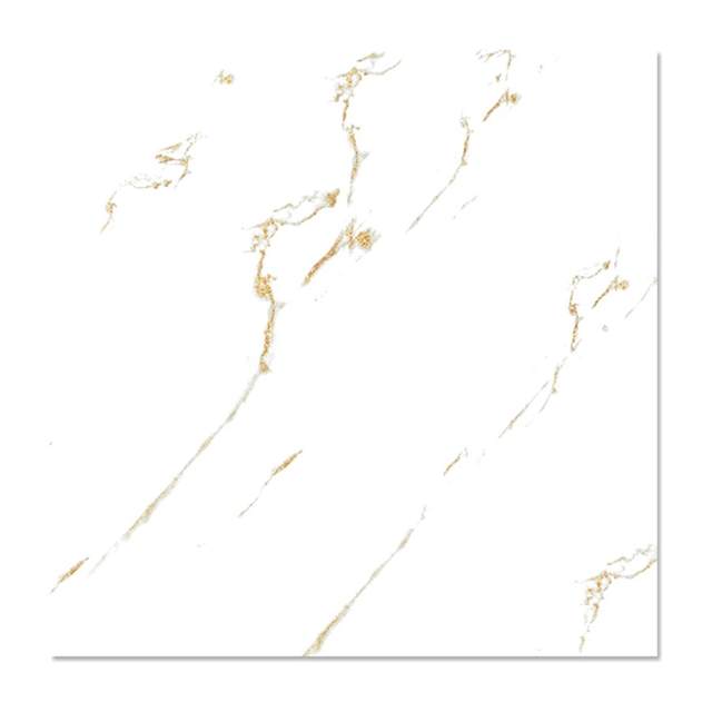 Gạch ốp lát Mikado Videcor VG6020 60×60 cm