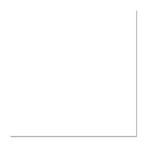 Gạch ốp lát Mikado Vidona TP6000 60×60 cm