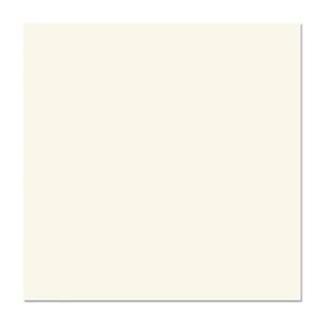 Gạch ốp lát Mikado Vidona TP6001 60×60 cm