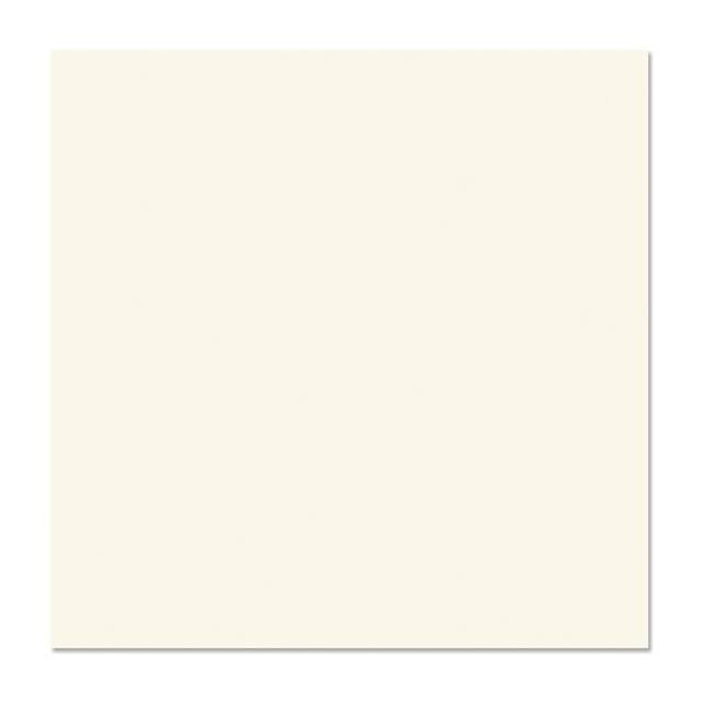 Gạch ốp lát Mikado Vidona TP6001 60×60 cm