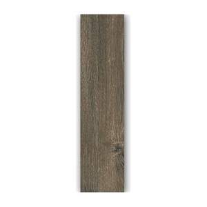 Gạch ốp lát Taicera 20×120 G921