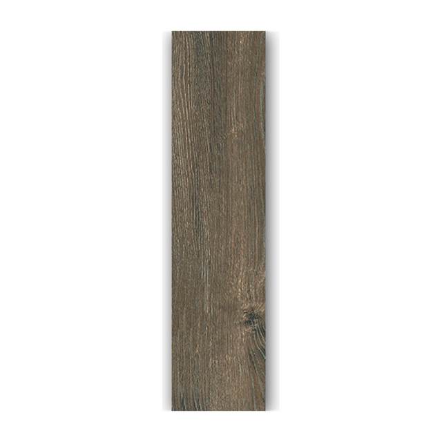 Gạch ốp lát Taicera 20×120 G921