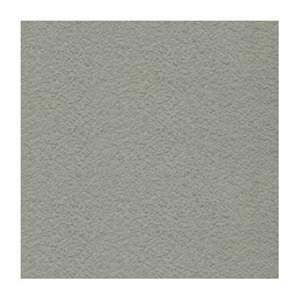Gạch ốp lát Taicera 30x30 G38848