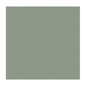 Gạch ốp lát Taicera 30x30 G39042M