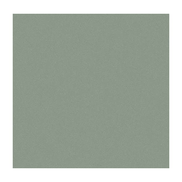 Gạch ốp lát Taicera 30x30 G39042M