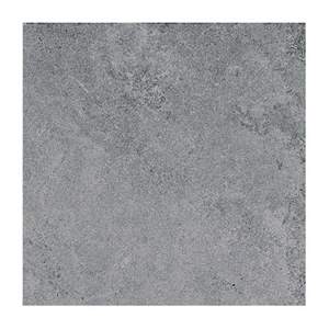 Gạch ốp lát Taicera 30x30 GC299x299-818