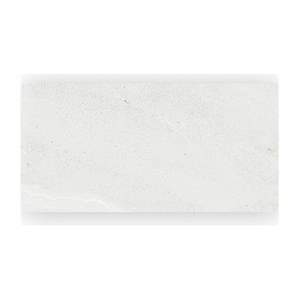 Gạch ốp lát Taicera 30×60 G63065