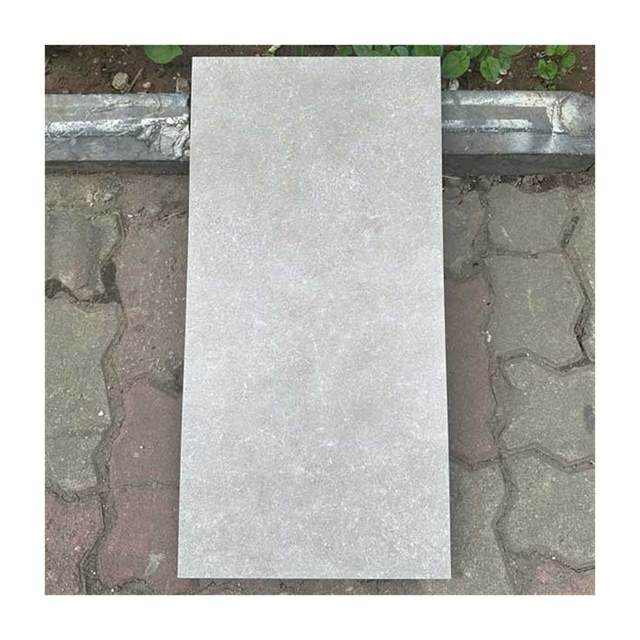 Gạch ốp lát Taicera 30×60 G63220
