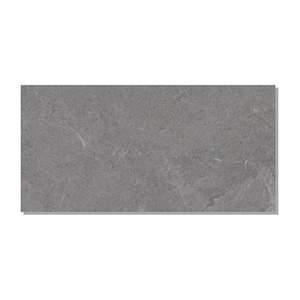 Gạch ốp lát Taicera 30×60 G63224J