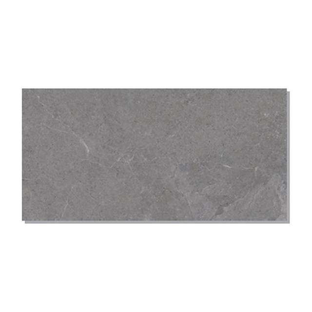Gạch ốp lát Taicera 30×60 G63224J