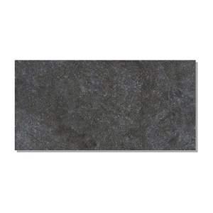 Gạch ốp lát Taicera 30×60 G63227J