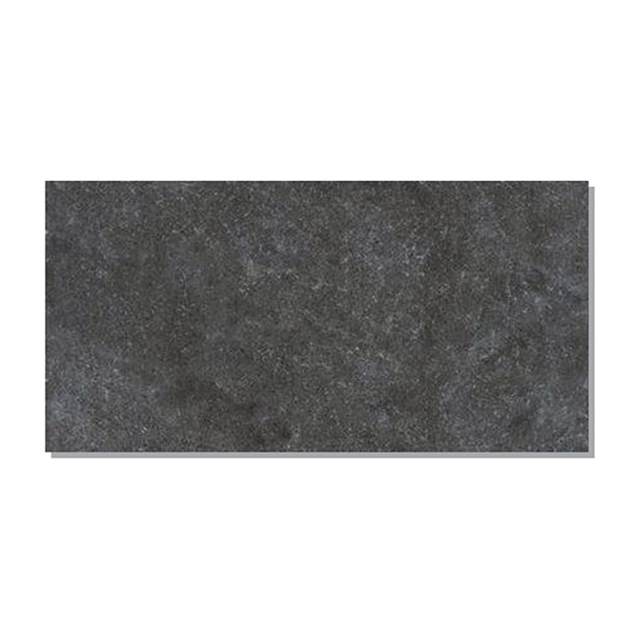 Gạch ốp lát Taicera 30×60 G63227J