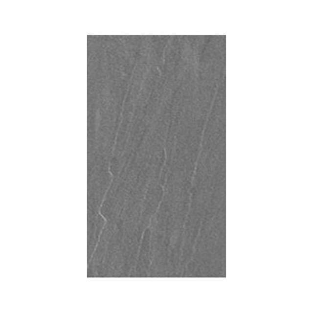 Gạch ốp lát Taicera 30×60 G63428